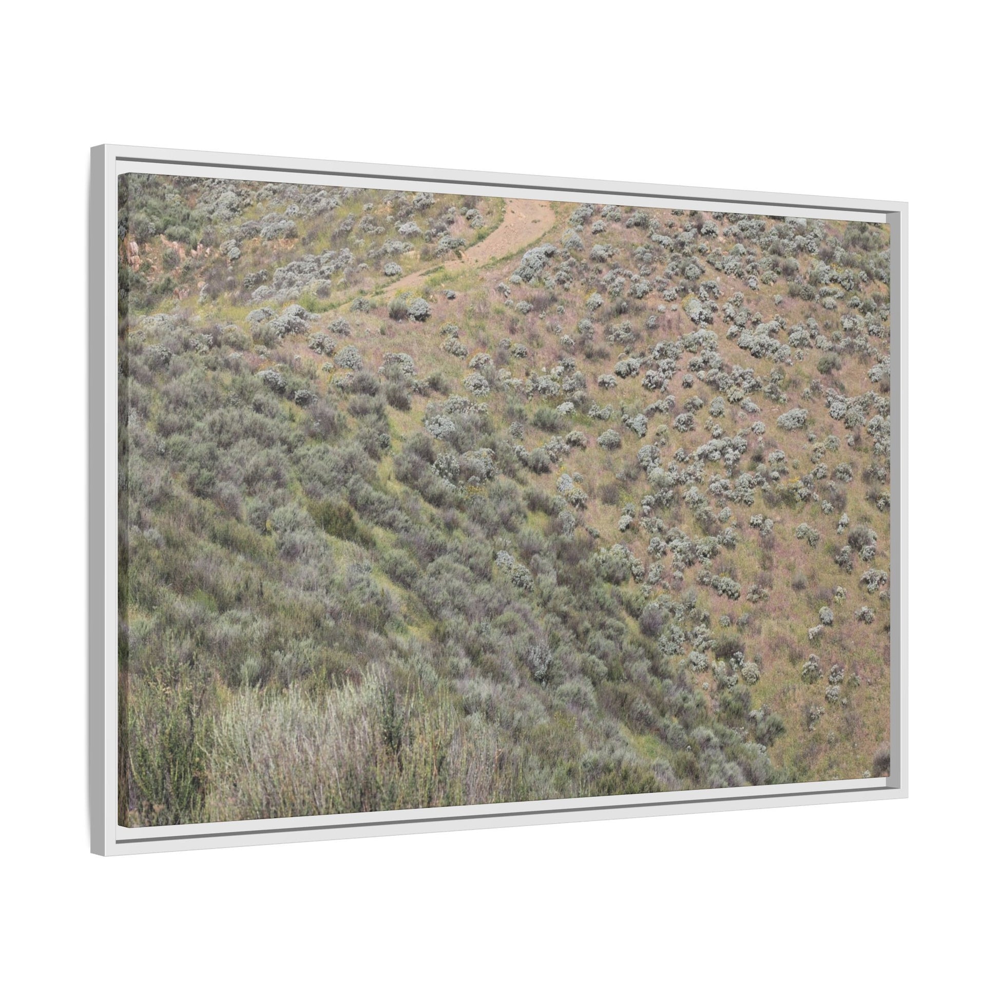 Arid Landscape with Winding Path - Unique Stretched Canvas Wall Art - Art By Earth