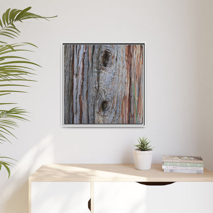 Knotty Nature - Unique Stretched Canvas Wall Art - Art By Earth
