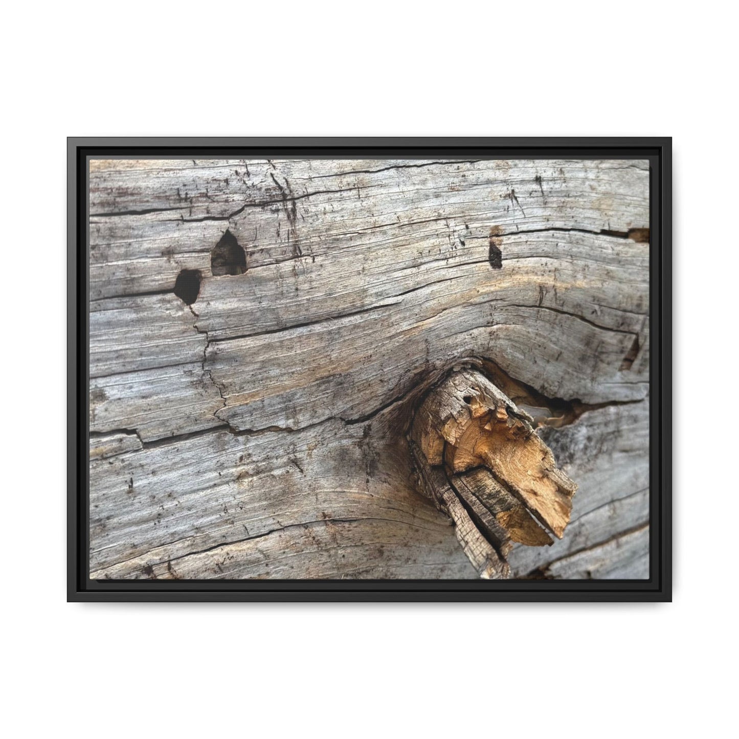 Weathered Wood Texture - Unique Stretched Canvas Wall Art - Art By Earth