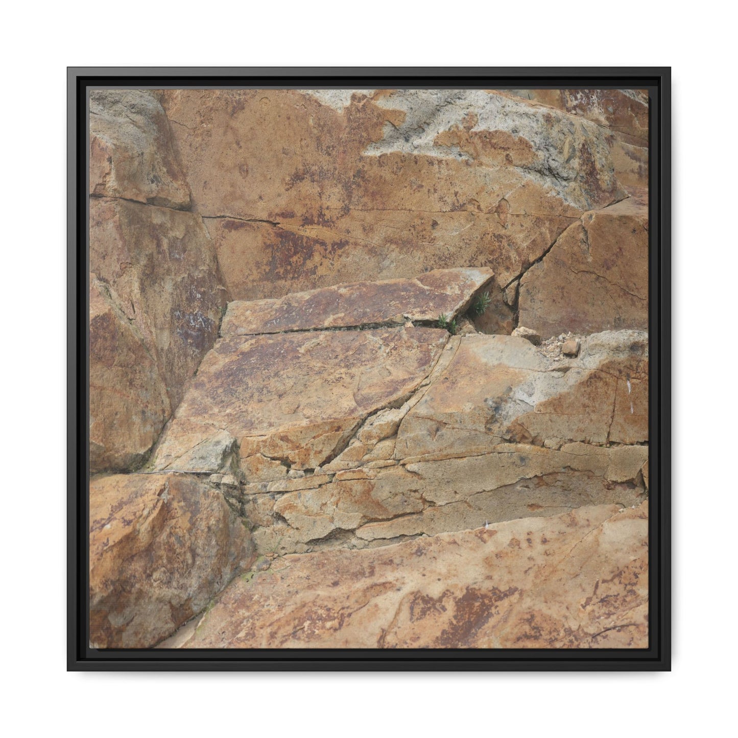 Ancient Foundations - Unique Stretched Canvas Wall Art - Art By Earth