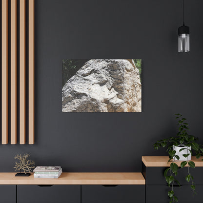 Stone of Solitude - Unique Frameless Canvas Wall Art - Art By Earth