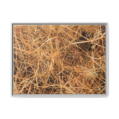 Dried Grass - Unique Stretched Canvas Wall Art - Art By Earth