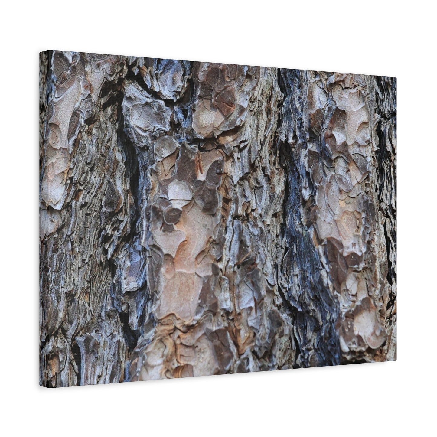 Arboreal Patterns - Unique Frameless Canvas Wall Art - Art By Earth
