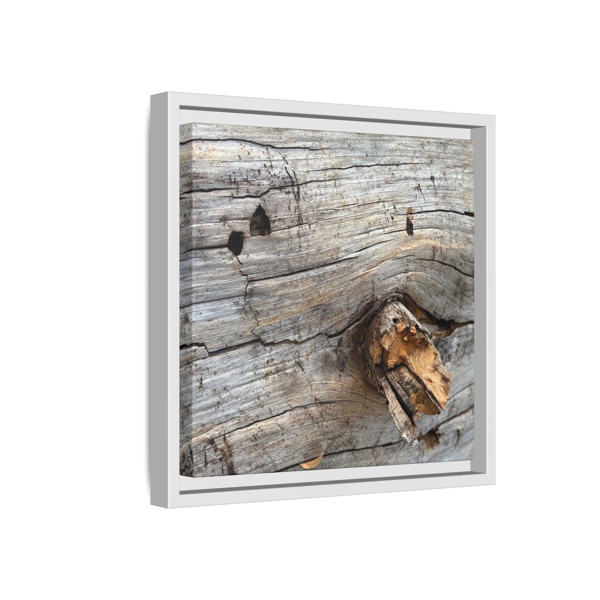 Weathered Wood Texture - Unique Stretched Canvas Wall Art - Art By Earth