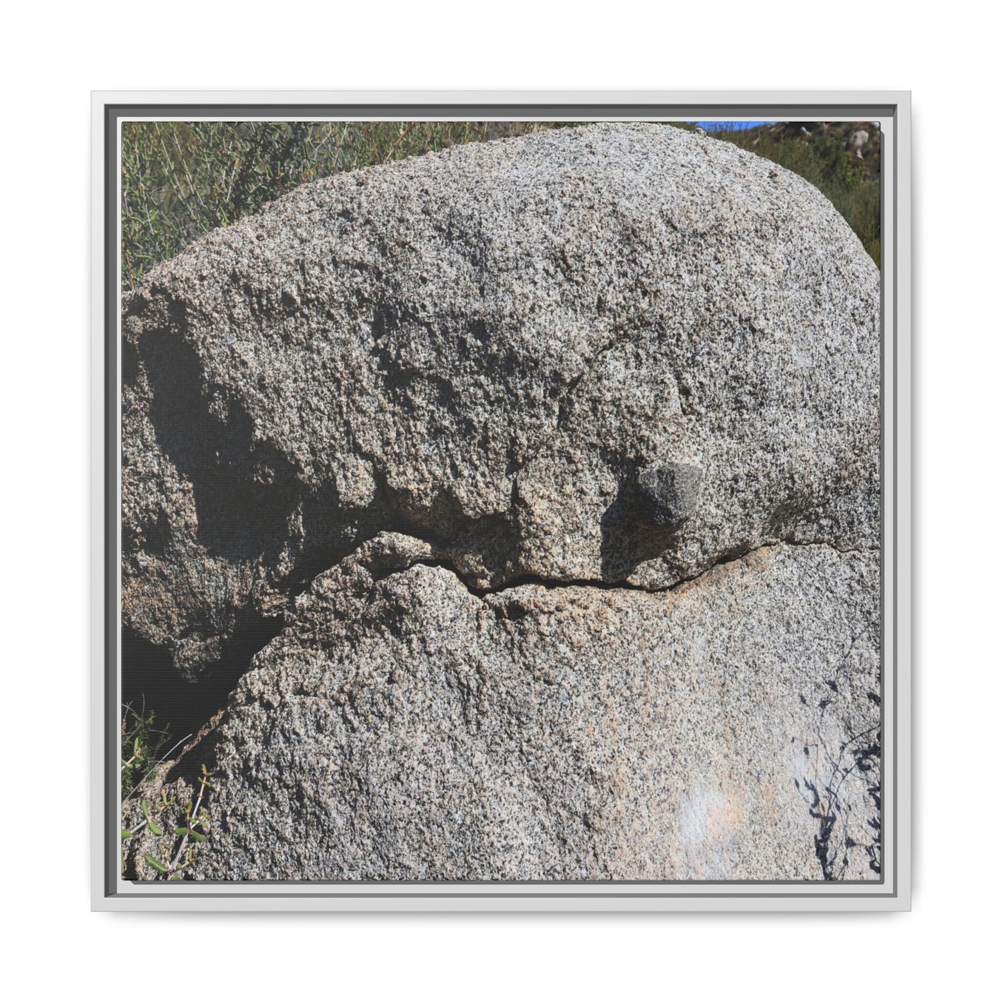 Stone Skull in Desert - Unique Stretched Canvas Wall Art
