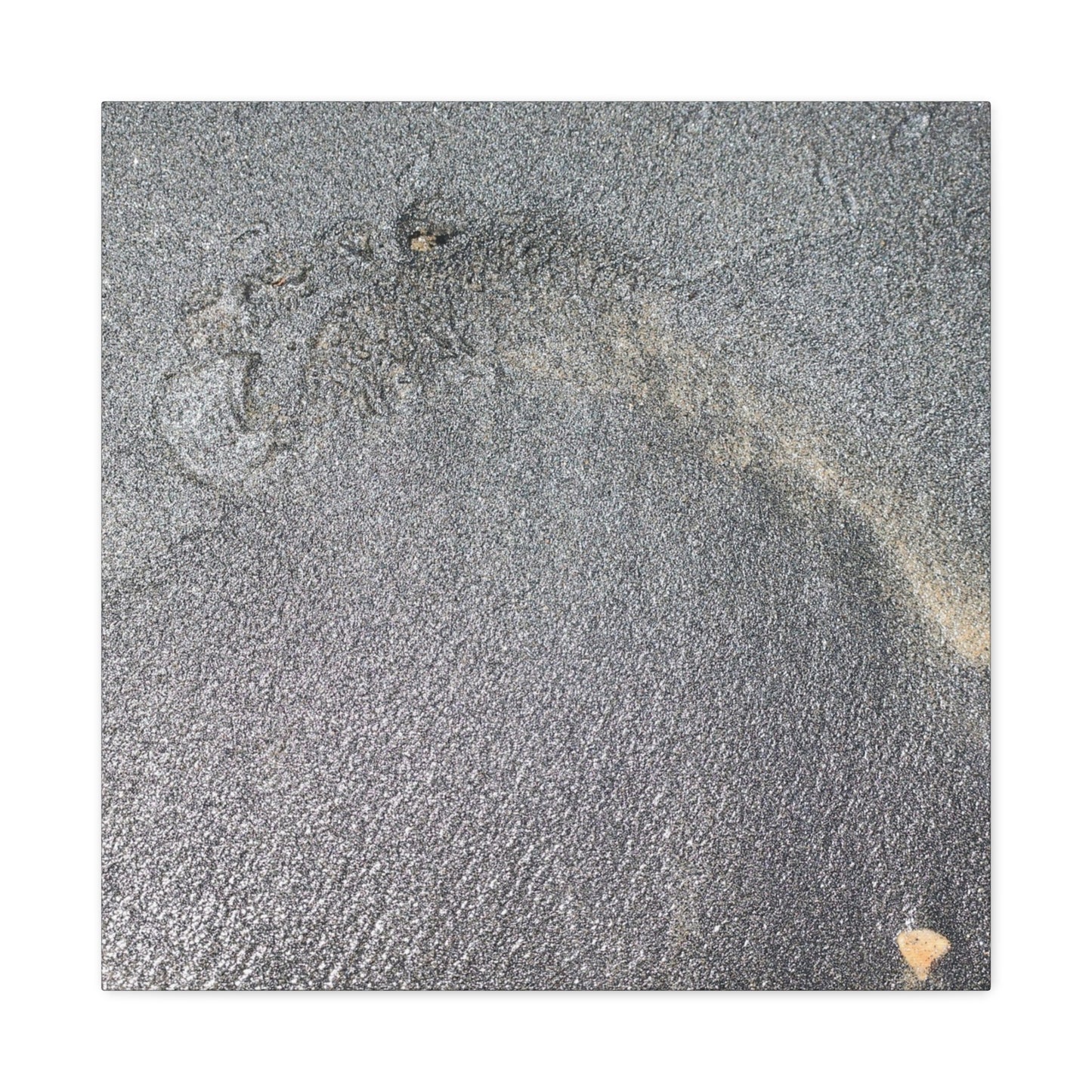 Ephemeral Whispers of Granite - Unique Frameless Canvas Wall Art - Art By Earth