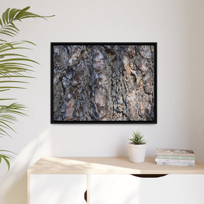 Weathered Patterns - Unique Stretched Canvas Wall Art - Art By Earth