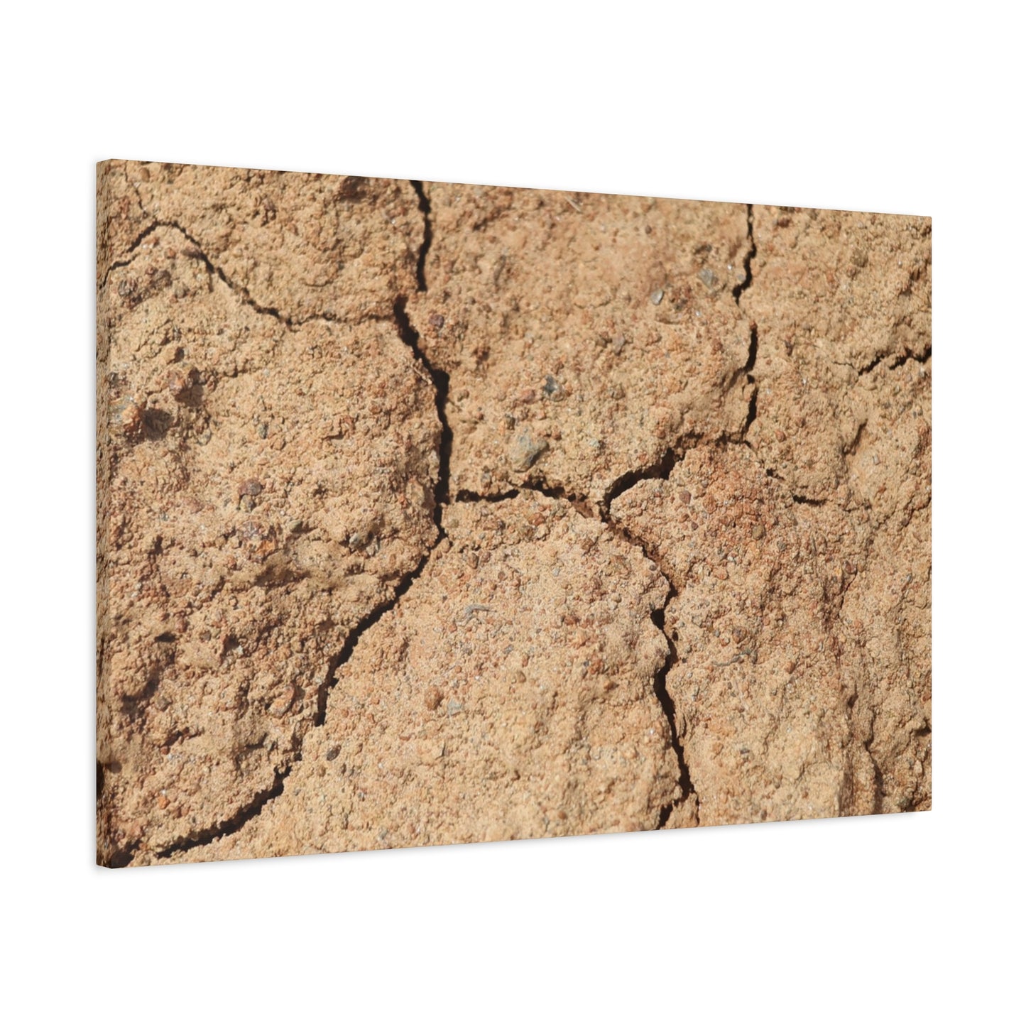 Cracked Earth's Lament - Unique Frameless Canvas Wall Art - Art By Earth