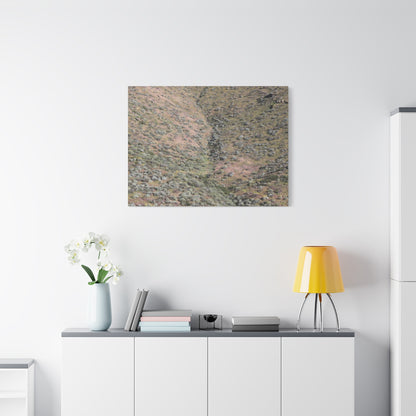 Desert Hillside - Unique Frameless Canvas Wall Art - Art By Earth