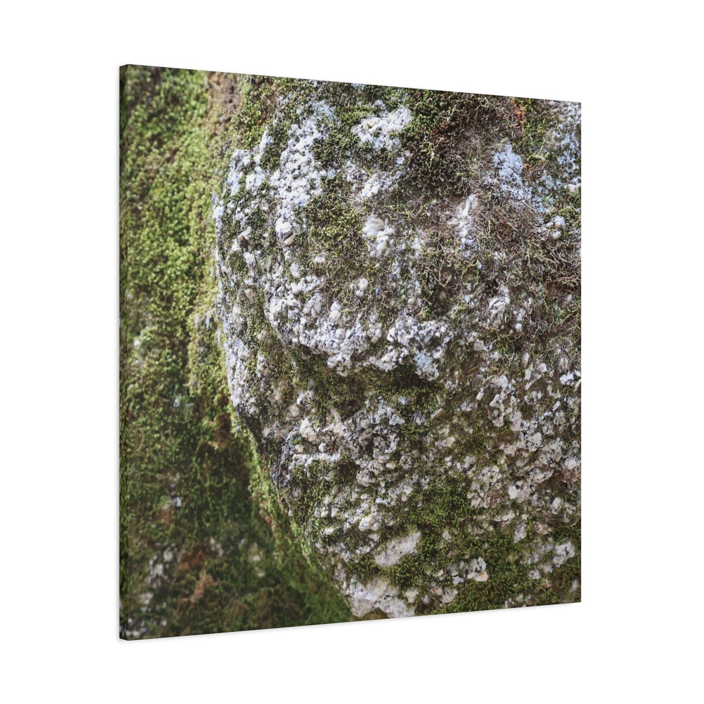 Moss and Stone Whispers - Unique Frameless Canvas Wall Art - Art By Earth