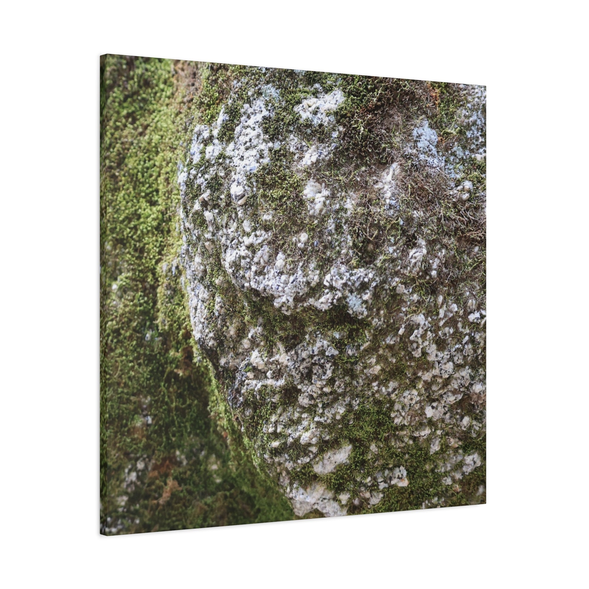 Moss and Stone Whispers - Unique Frameless Canvas Wall Art - Art By Earth