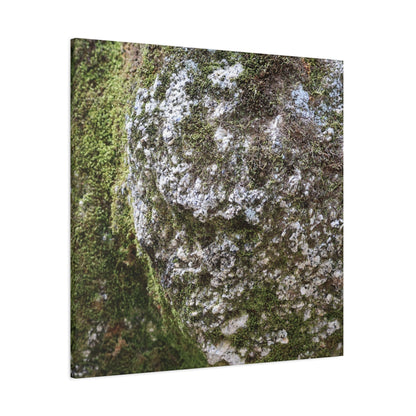 Moss and Stone Whispers - Unique Frameless Canvas Wall Art - Art By Earth