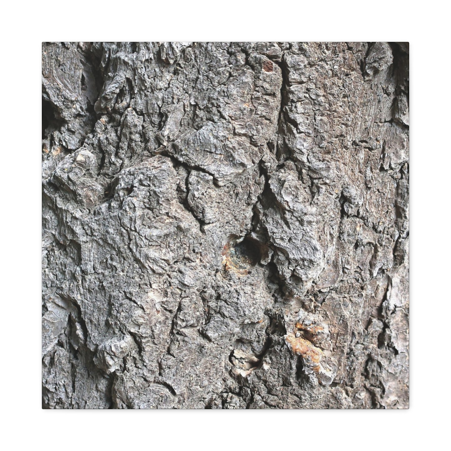 Elemental Canvas - Unique Frameless Canvas Wall Art - Art By Earth