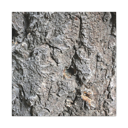 Elemental Canvas - Unique Frameless Canvas Wall Art - Art By Earth