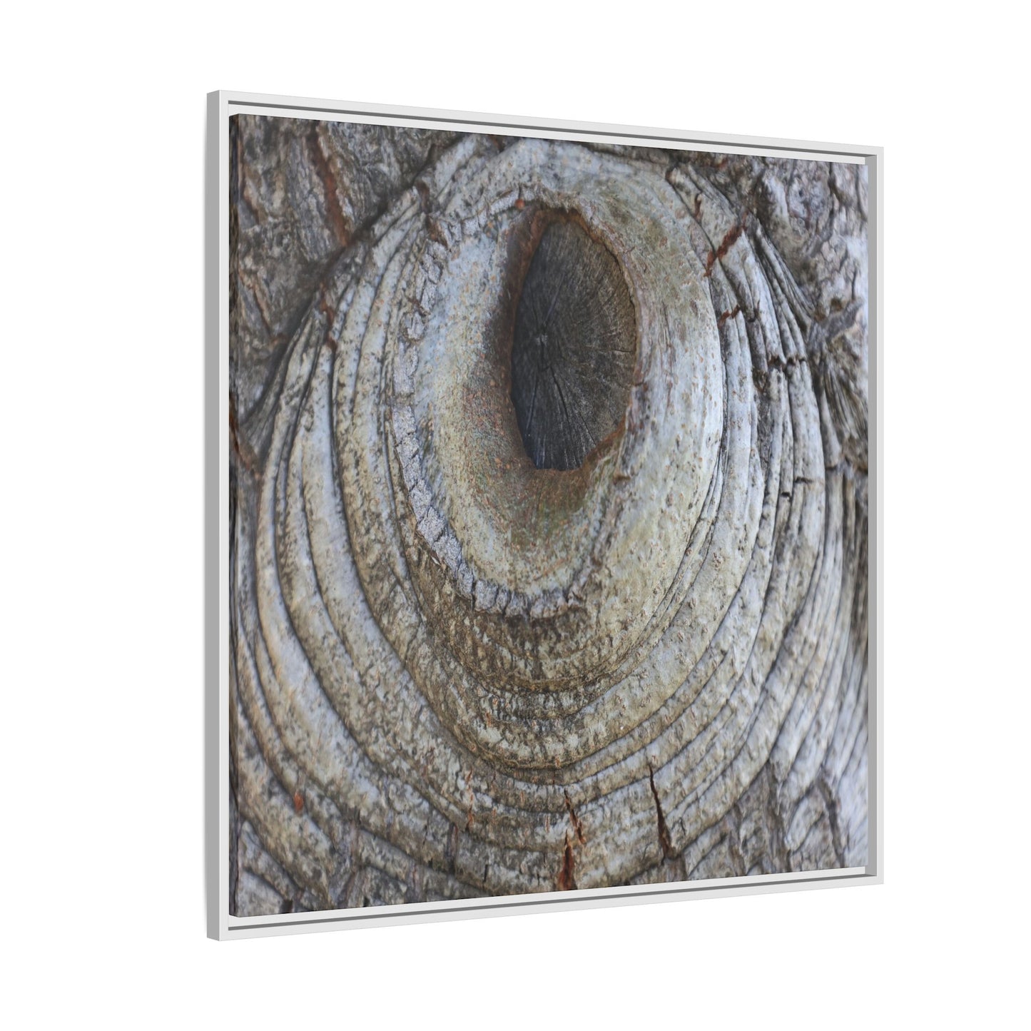 Echoes of Time - Unique Stretched Canvas Wall Art - Art By Earth