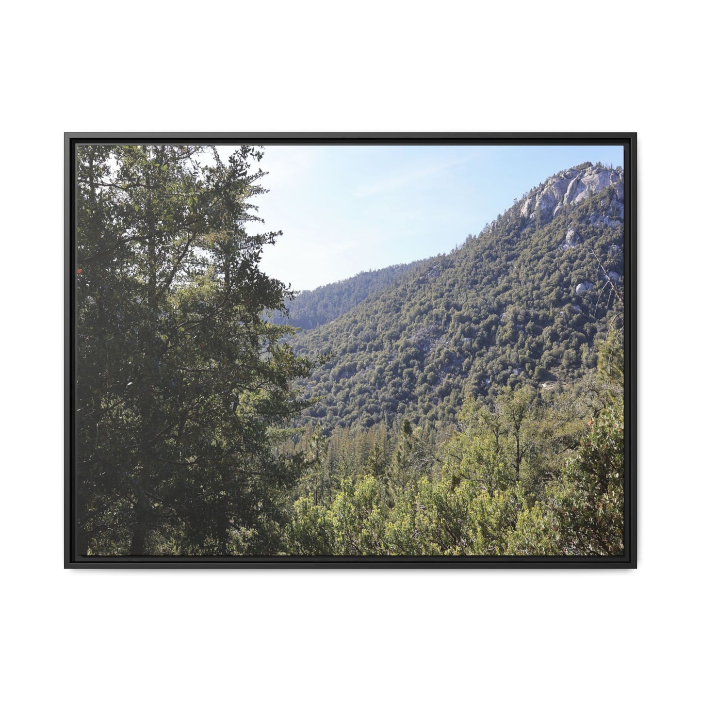 Mountain Valley Forest - Unique Stretched Canvas Wall Art
