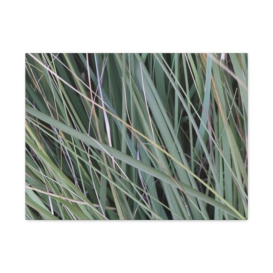 Whispers of Green - Unique Frameless Canvas Wall Art - Art By Earth