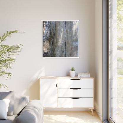 Cracked Timber Texture - Unique Stretched Canvas Wall Art