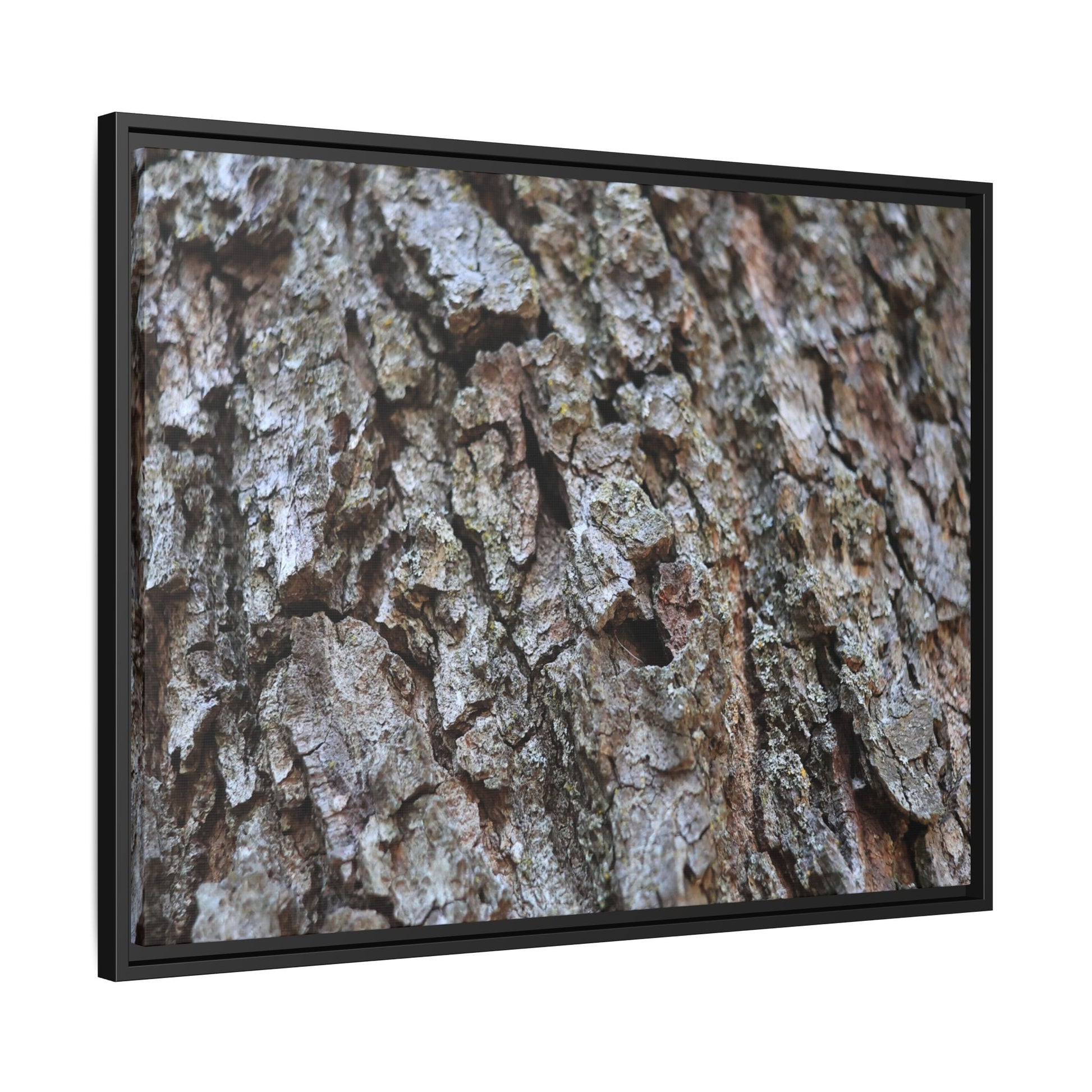 Woodland Canvas - Unique Stretched Canvas Wall Art - Art By Earth