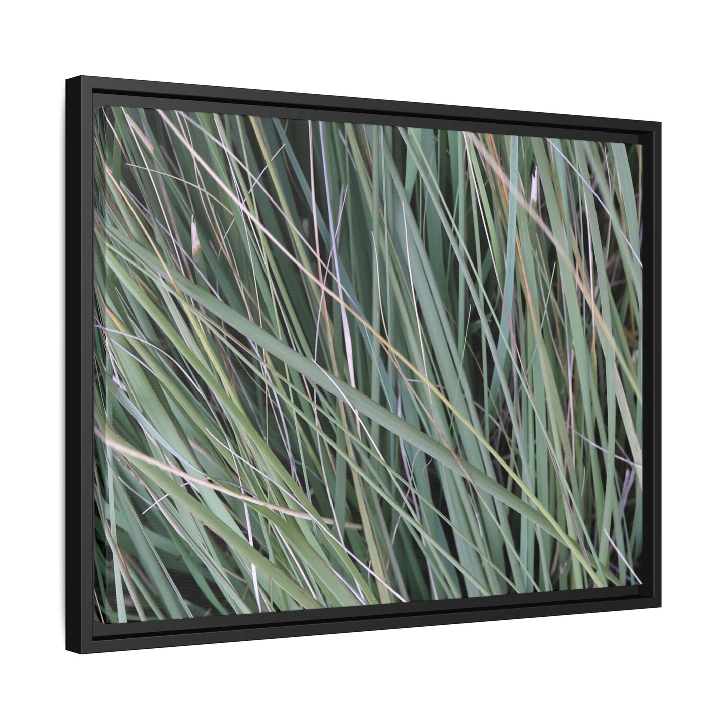 Grassland Symphony - Unique Stretched Canvas Wall Art - Art By Earth