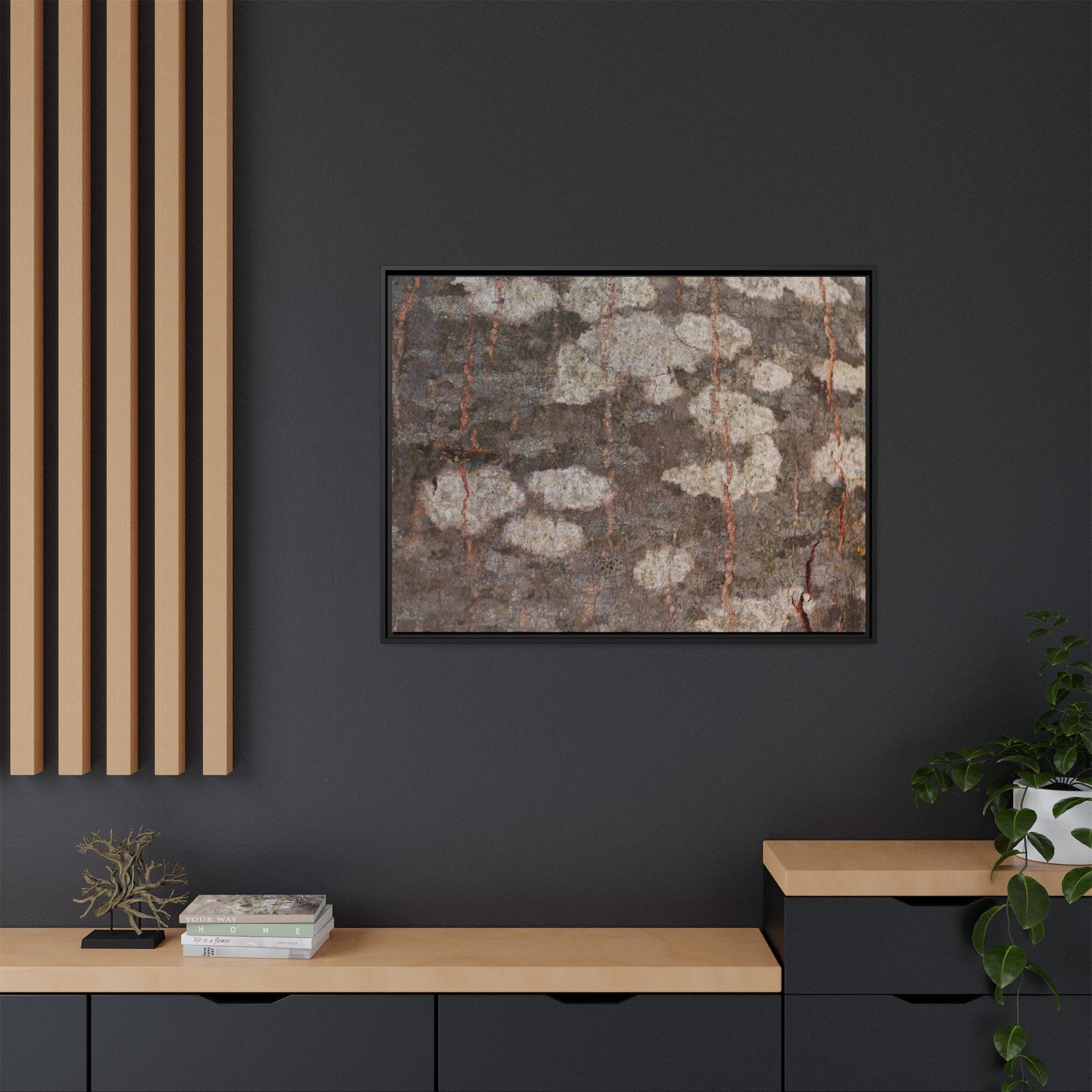 Lichen's Legacy - Unique Stretched Canvas Wall Art - Art By Earth