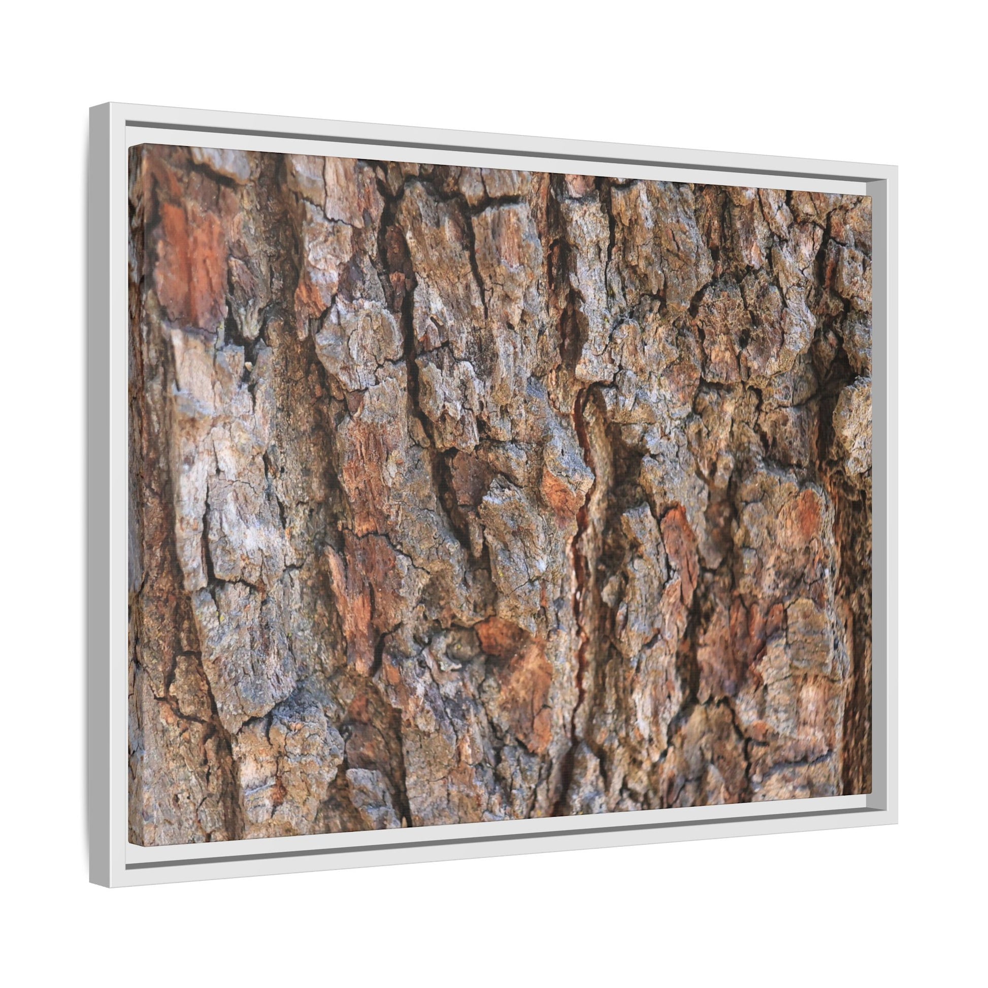 Tree's Timeworn Tale - Unique Stretched Canvas Wall Art - Art By Earth