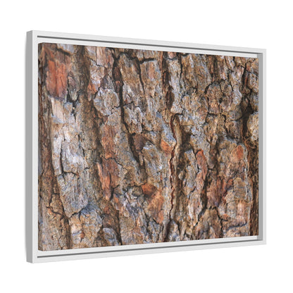 Tree's Timeworn Tale - Unique Stretched Canvas Wall Art - Art By Earth