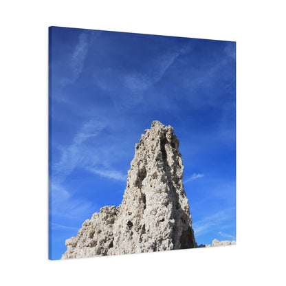 Reaching Skyward - Unique Frameless Canvas Wall Art