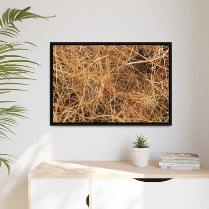 Dried Grass - Unique Stretched Canvas Wall Art - Art By Earth