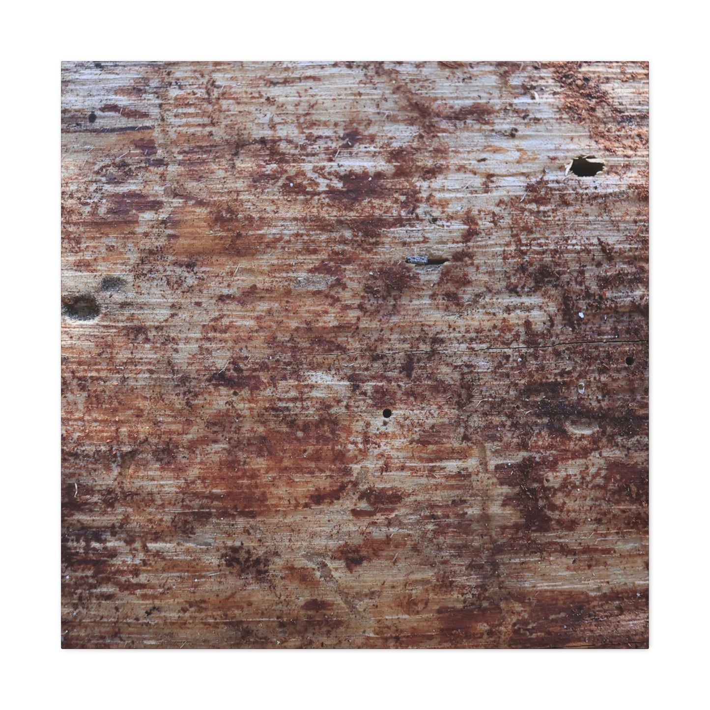 Decaying Memoir - Unique Frameless Canvas Wall Art - Art By Earth