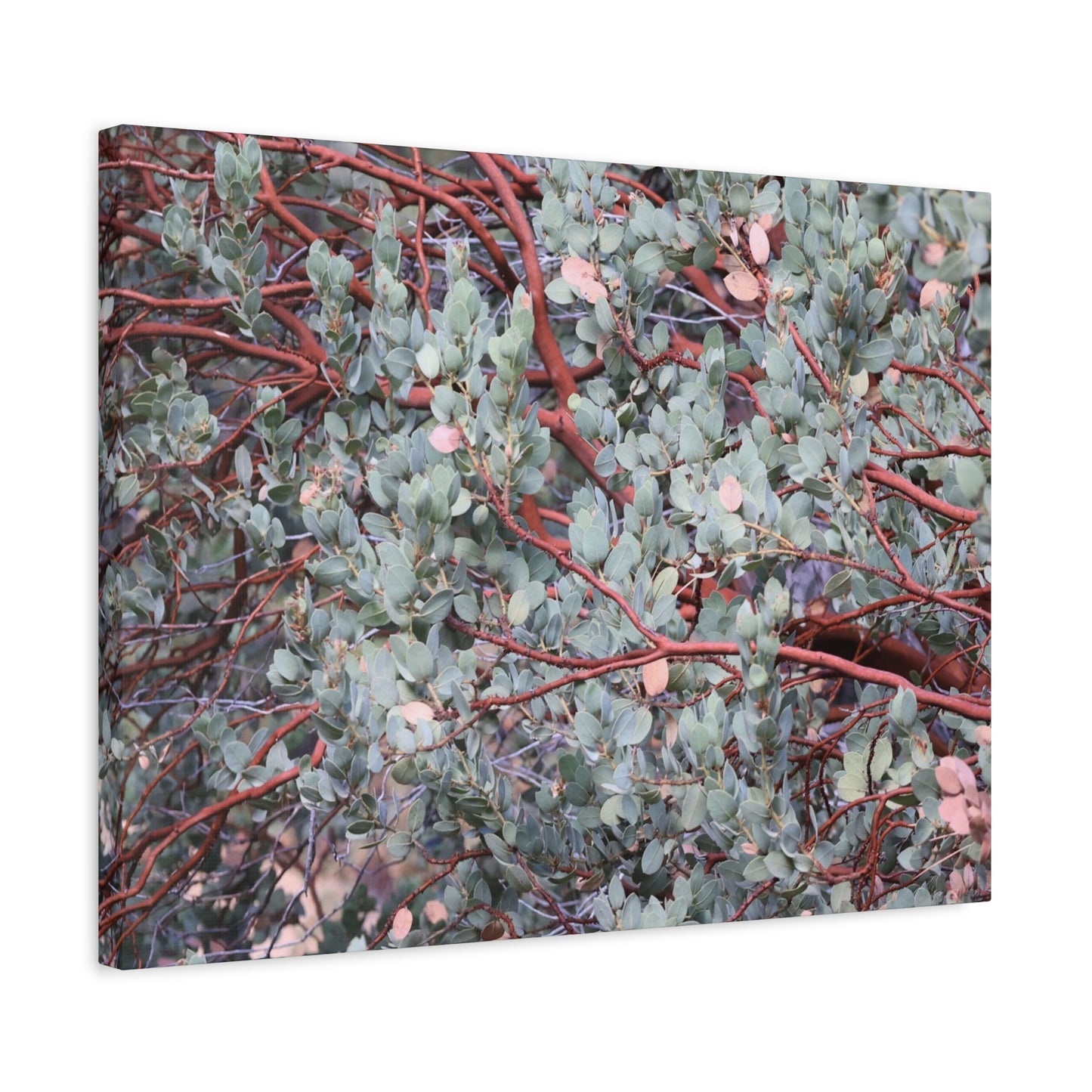 Whispers of Silver and Rust - Unique Frameless Canvas Wall Art - Art By Earth