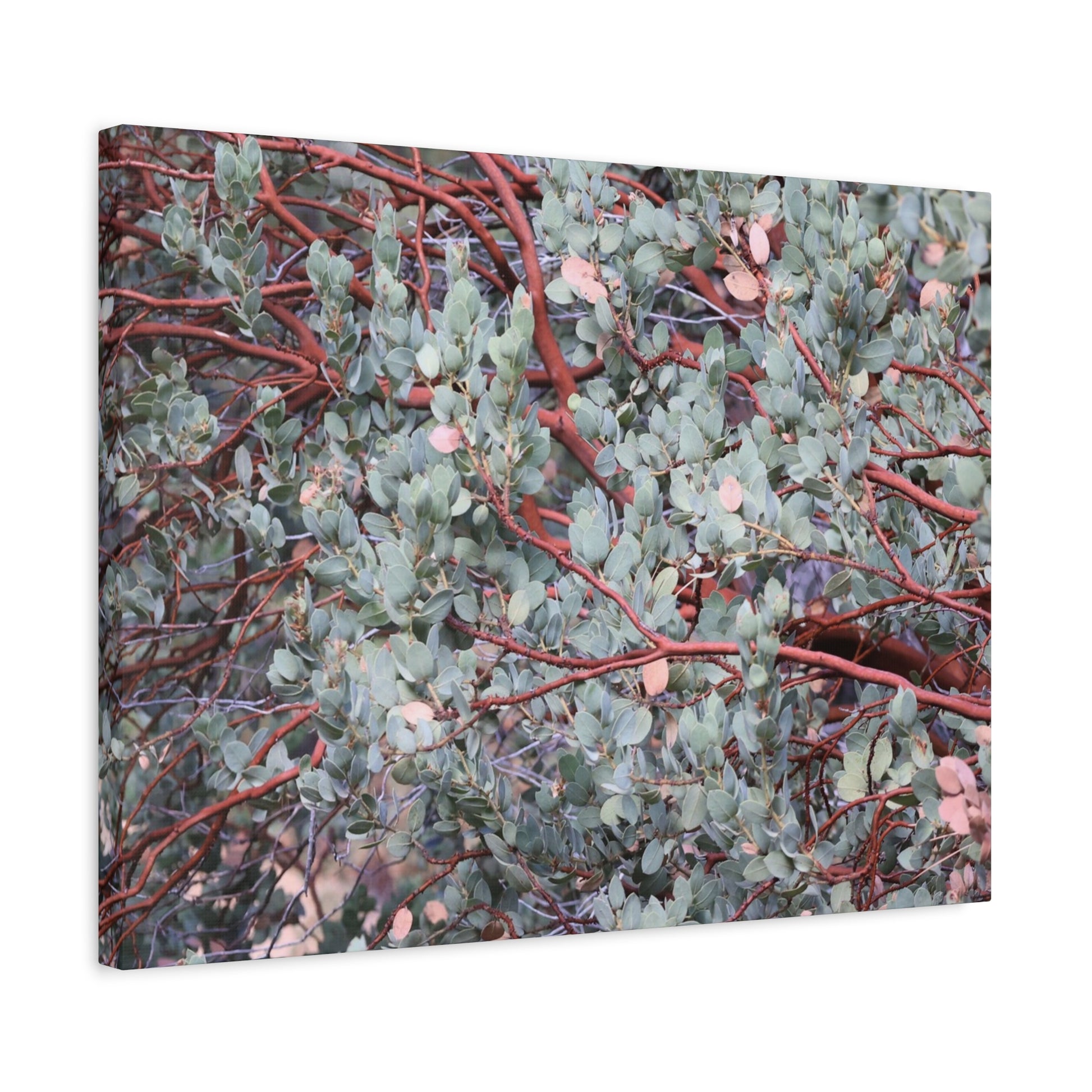 Whispers of Silver and Rust - Unique Frameless Canvas Wall Art - Art By Earth