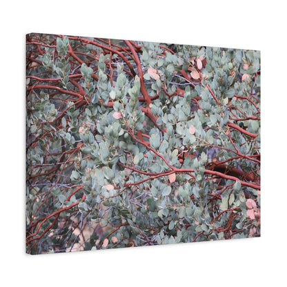 Whispers of Silver and Rust - Unique Frameless Canvas Wall Art - Art By Earth