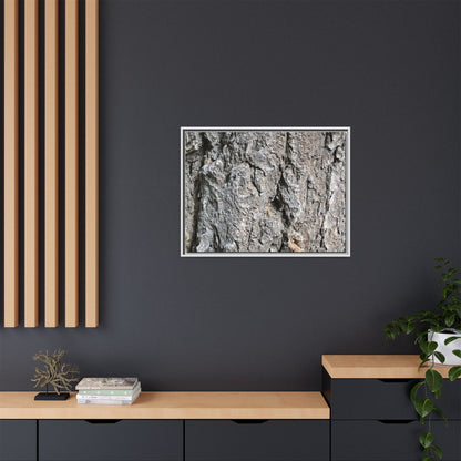 Crusty Exterior - Unique Stretched Canvas Wall Art - Art By Earth