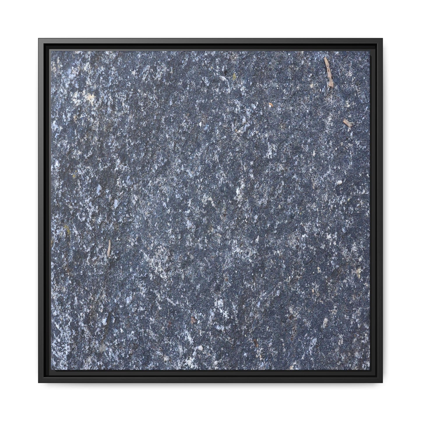 Asphalt Dreams - Unique Stretched Canvas Wall Art - Art By Earth