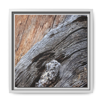 Time's Mark on Timber - Unique Stretched Canvas Wall Art - Art By Earth