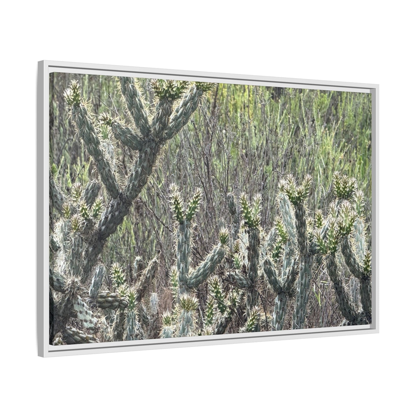 Prickly Paradise - Unique Stretched Canvas Wall Art - Art By Earth