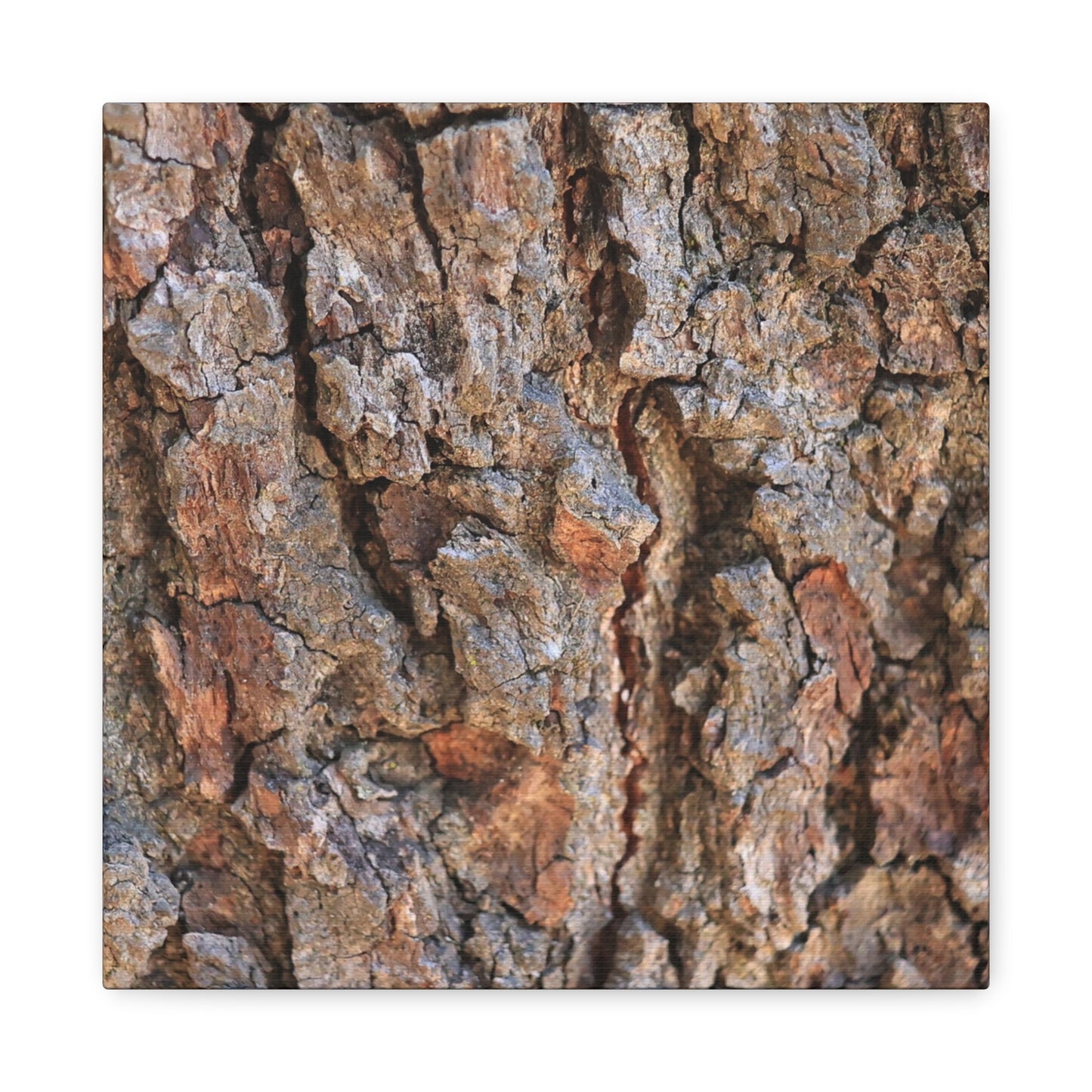 Roots of Time - Unique Frameless Canvas Wall Art - Art By Earth