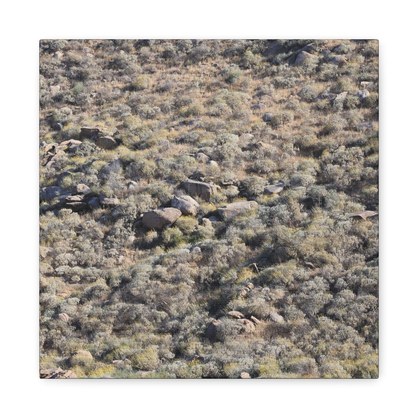 Desert Landscape with Scattered Rocks and Sage - Unique Frameless Canvas Wall Art - Art By Earth