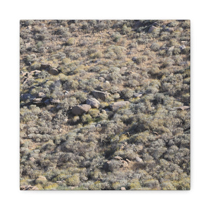 Desert Landscape with Scattered Rocks and Sage - Unique Frameless Canvas Wall Art - Art By Earth