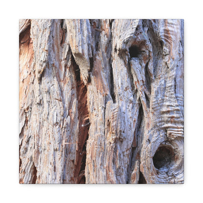 Aged Bark Surface - Unique Frameless Canvas Wall Art - Art By Earth