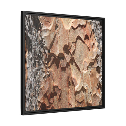 Rust and Stone - Unique Stretched Canvas Wall Art - Art By Earth