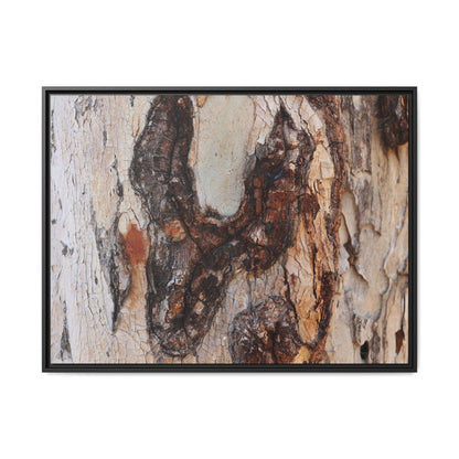 Texture of Time - Unique Stretched Canvas Wall Art - Art By Earth