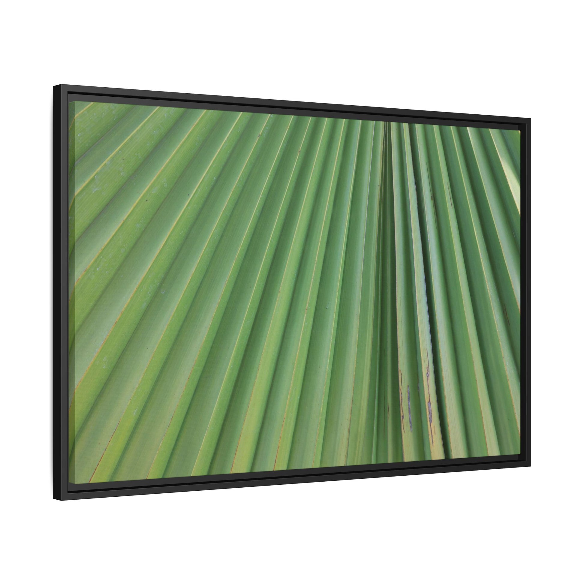 Emerald Rays - Unique Stretched Canvas Wall Art - Art By Earth