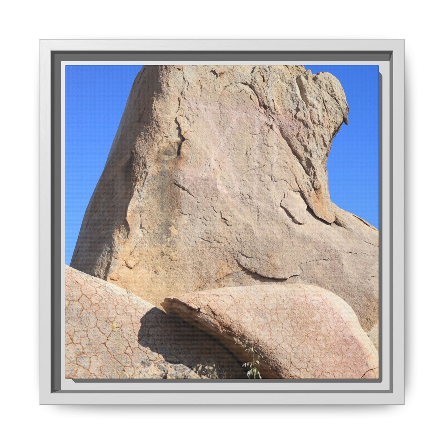 Rocky Sentinel - Unique Stretched Canvas Wall Art - Art By Earth
