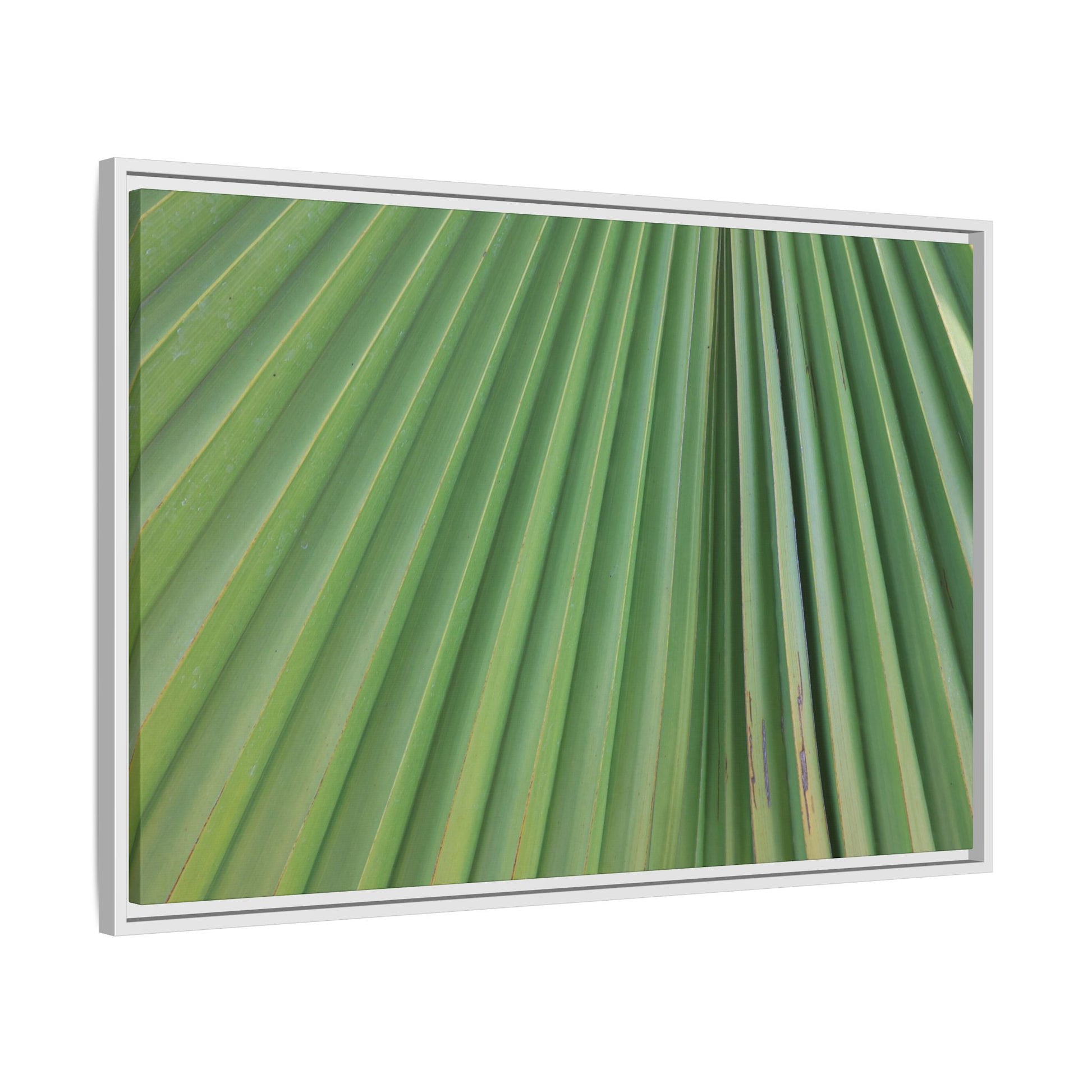 Emerald Rays - Unique Stretched Canvas Wall Art - Art By Earth