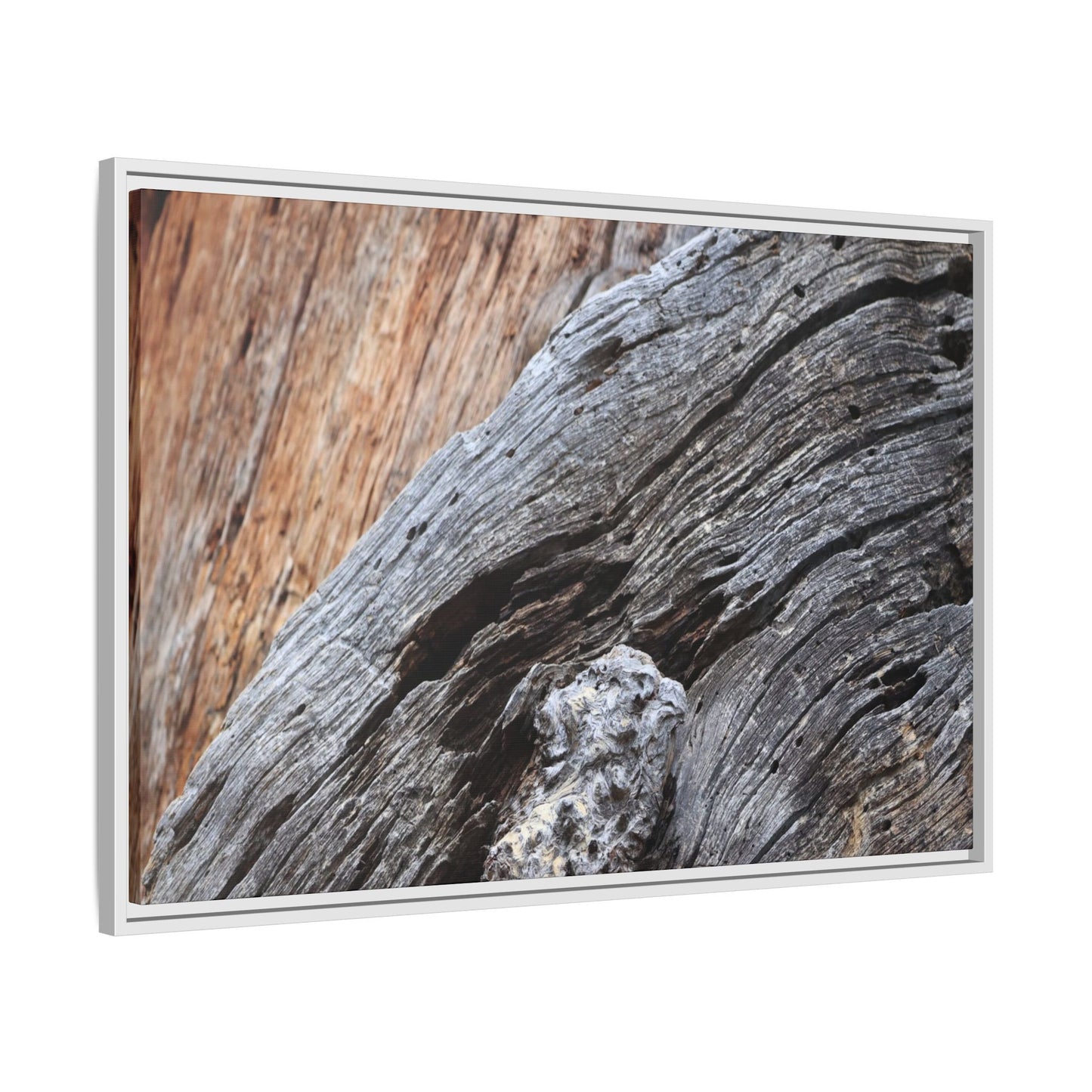 Time's Mark on Timber - Unique Stretched Canvas Wall Art - Art By Earth