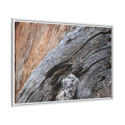 Time's Mark on Timber - Unique Stretched Canvas Wall Art - Art By Earth