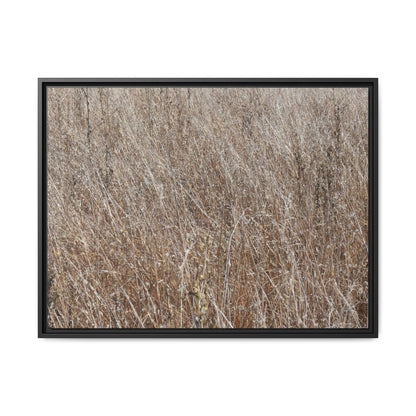 Dry Grass Symphony - Unique Stretched Canvas Wall Art - Art By Earth
