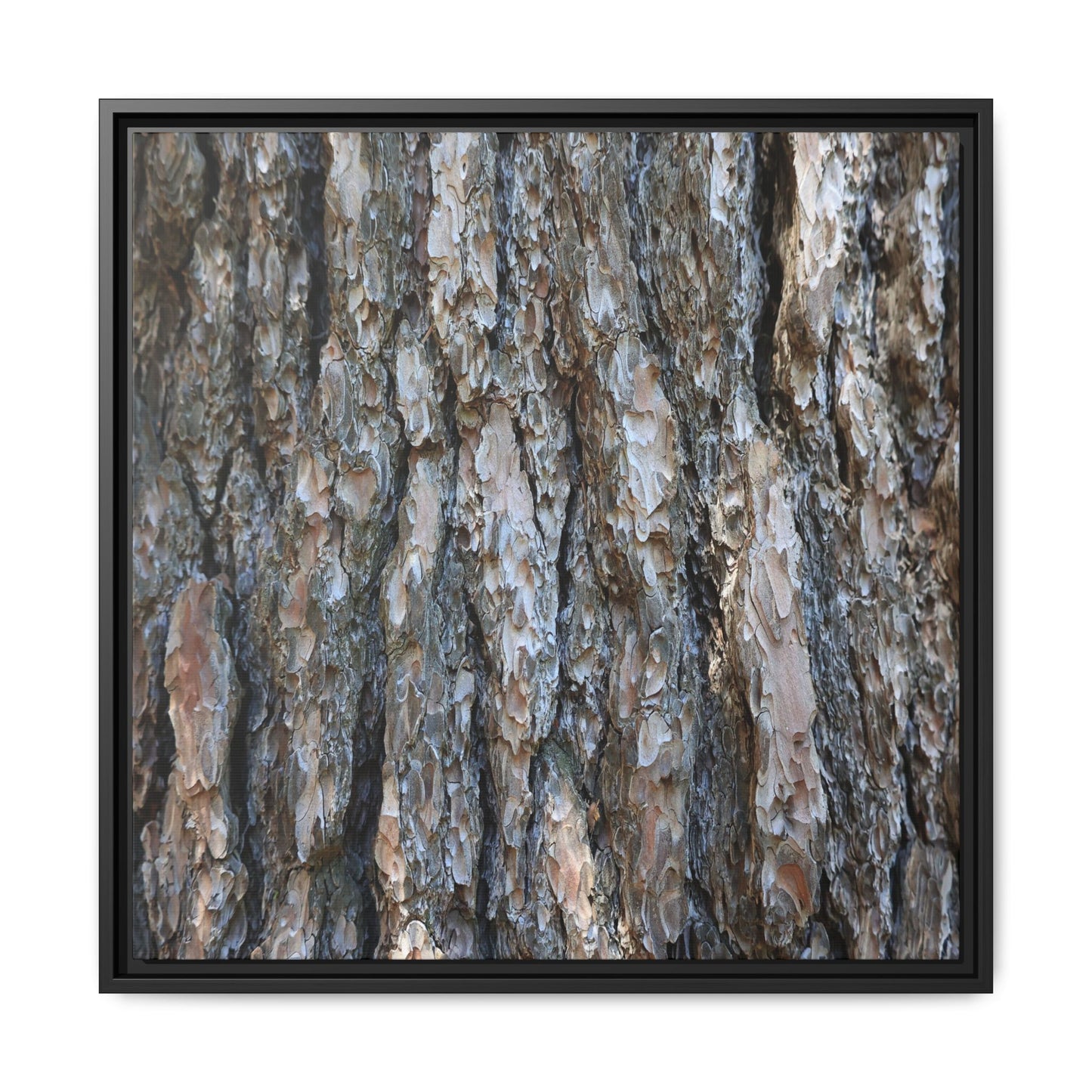 Bark Whispers - Unique Stretched Canvas Wall Art - Art By Earth
